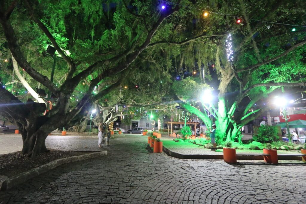 Camboriú está toda iluminada para o natal