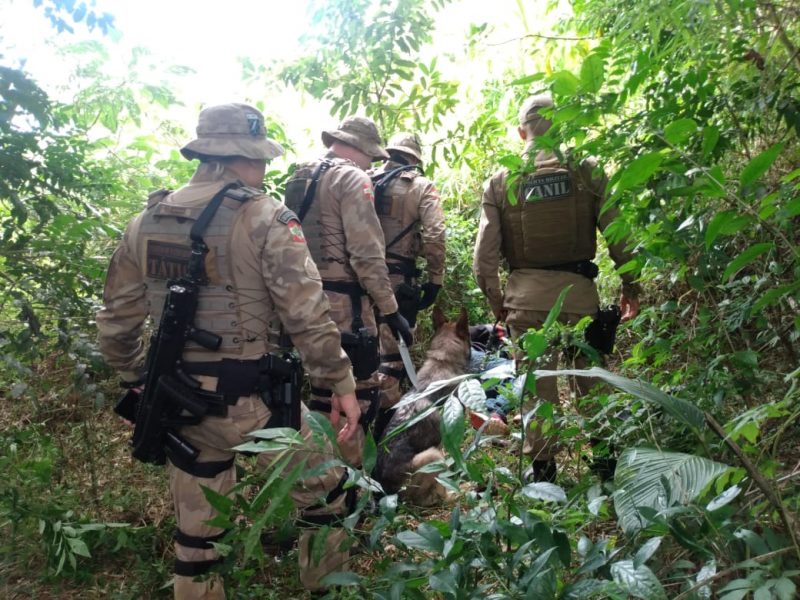 Criança é feita refém durante roubo em Chapecó