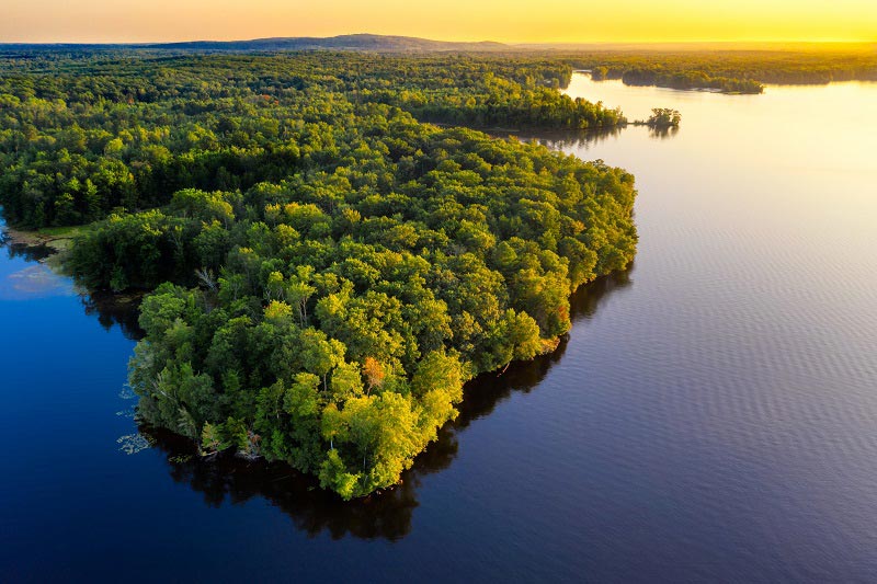 Amazônia: Governo Federal lança Programa Adote um Parque e pretende arrecadar até R$ 3,2 bi ao ano