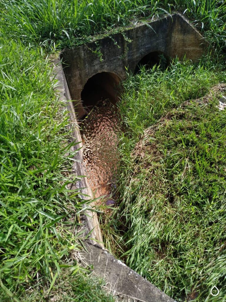 Corpo em adiantado estado de decomposição é encontrado em vala em Camboriú