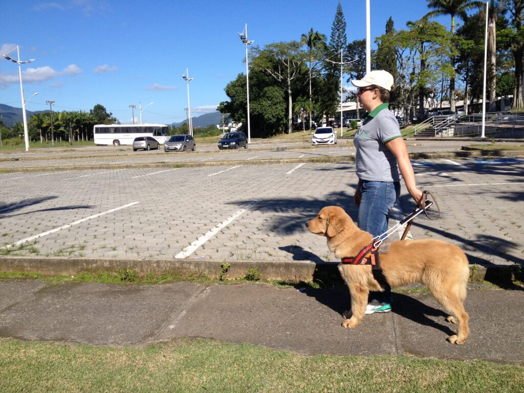 Atletas paralímpicos já estão em Camboriú para formação de duplas com cães-guia