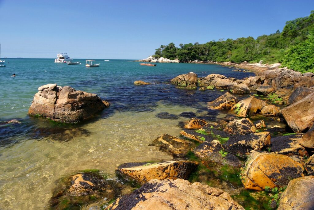 Balneário Camboriú  é a primeira cidade a receber o Selo no Brasil por suas ações de prevenção e comba