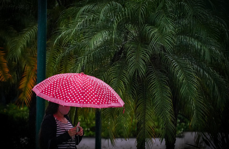 Defesa Civil emite alerta de chuva forte e volumosa em SC