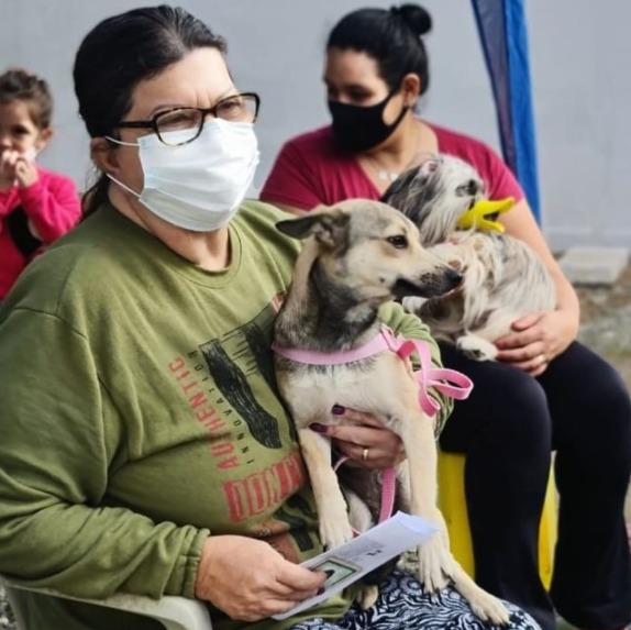 Tutores de pets de até 10,01 e 30kg fiquem atentos ao cadastro para castração