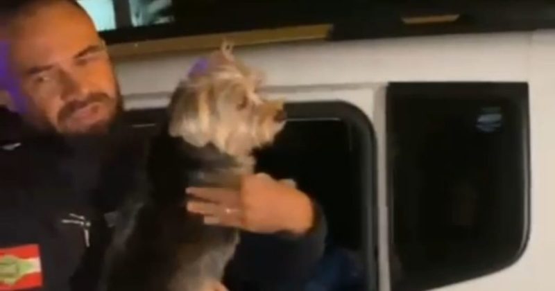 Vídeo: Cachorro fica preso no carro é resgatado pela GM