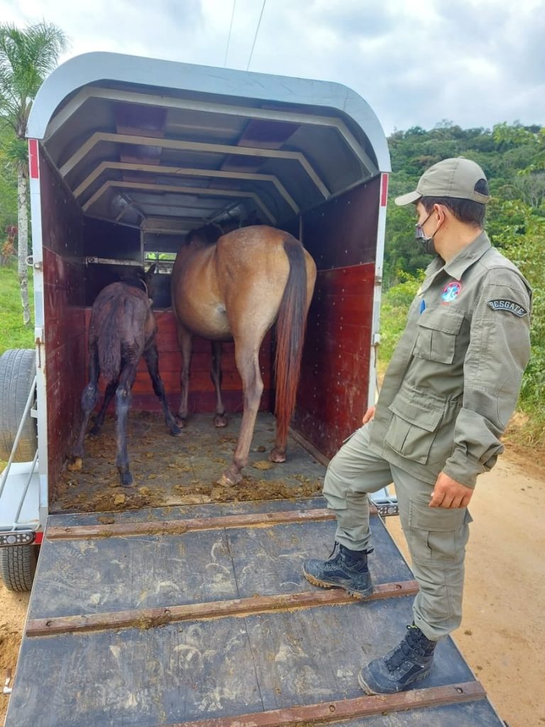 Camboriú agora tem base do Grupo de Operação e Resgate