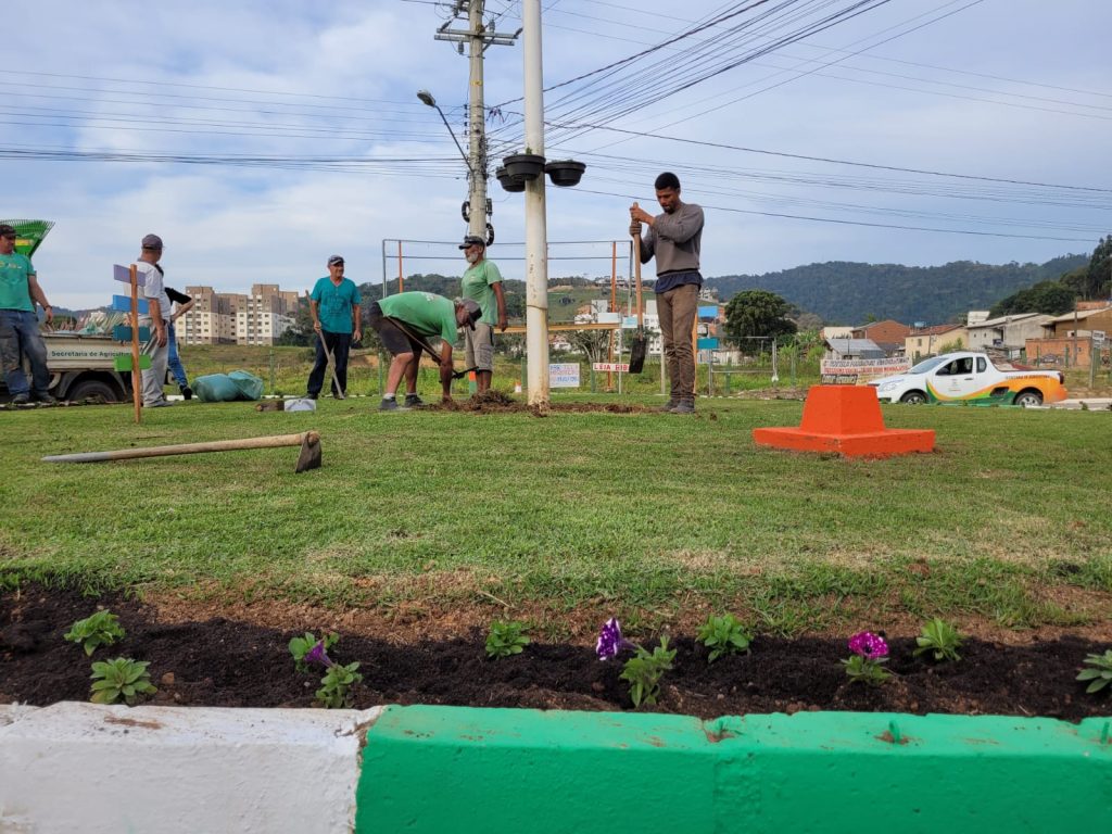 Avenidas Santo Amaro recebe plantio de flores embelezando a cidade