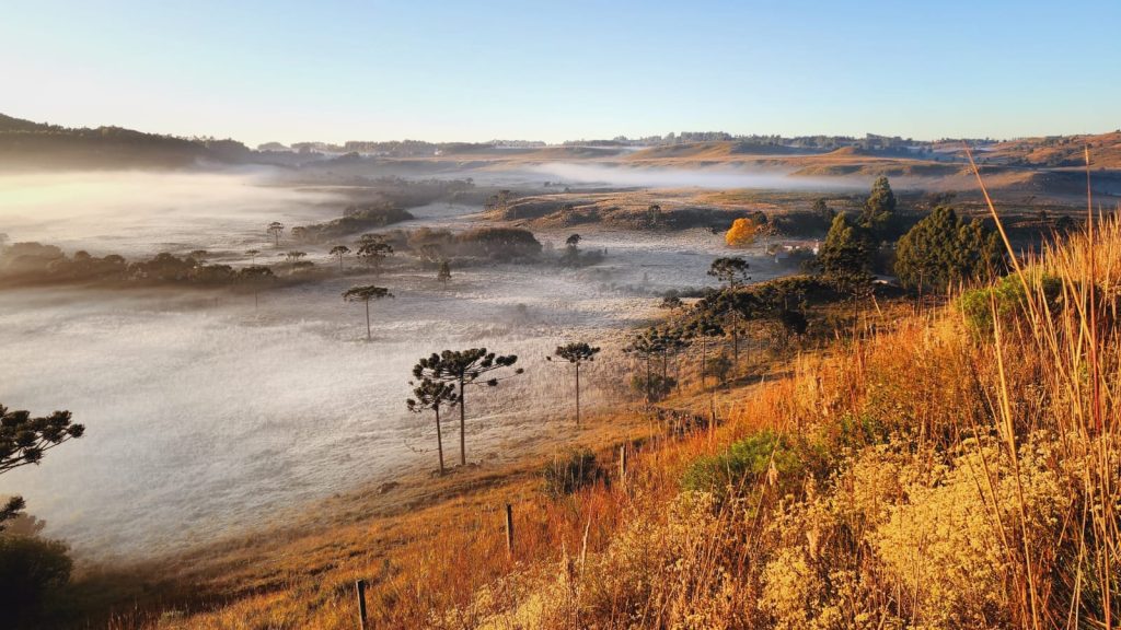 Paisagem amanhece branca da geada na Serra Catarinense