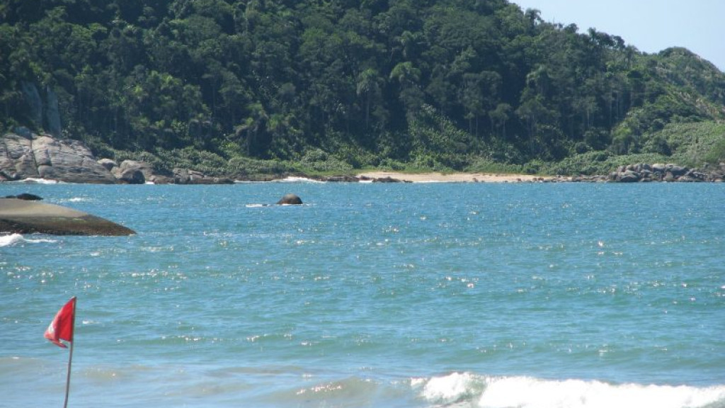 Homem desaparece após mergulhar em mar durante pescaria em Porto Belo