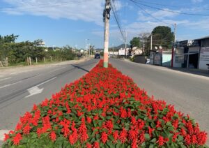 Assinatura da ordem de serviço marcará início das obras de pavimentação do terceiro trecho da Avenida Santa Catarina