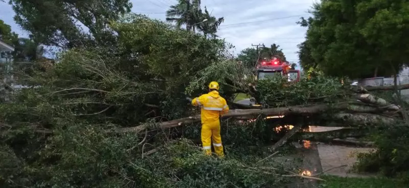 Ventania na madrugada causa destelhamentos e estragos no sul do estado