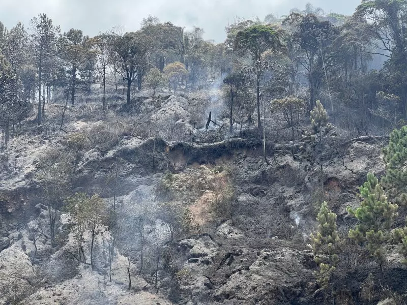 Incêndio em área verde em Camboriú aciona viaturas do corpo de bombeiros da região