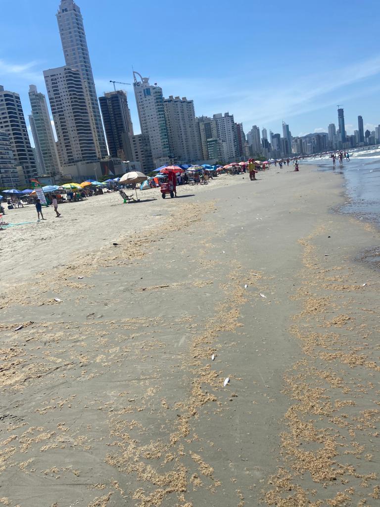 Peixes mortos na beira-mar assusta e preocupa banhista