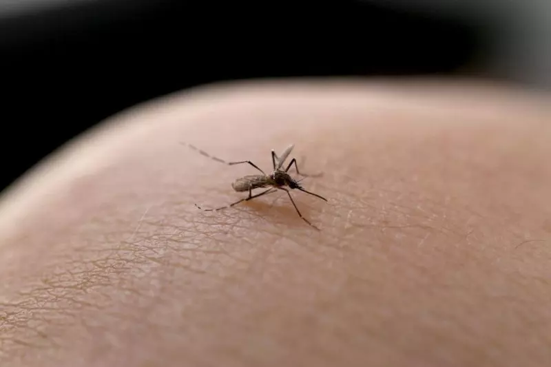 Mantenha sua caixa d’água segura e livre do mosquito Aedes aegypti!