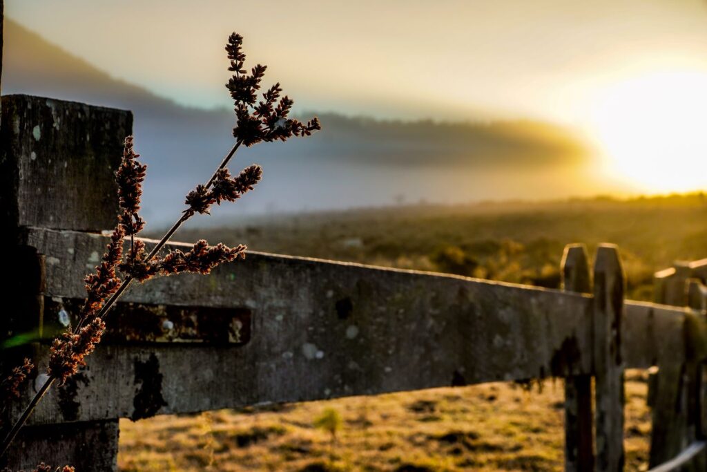 Frio intenso chega a SC com possibilidade de geada e temperaturas negativas nos pontos mais altos da Serra