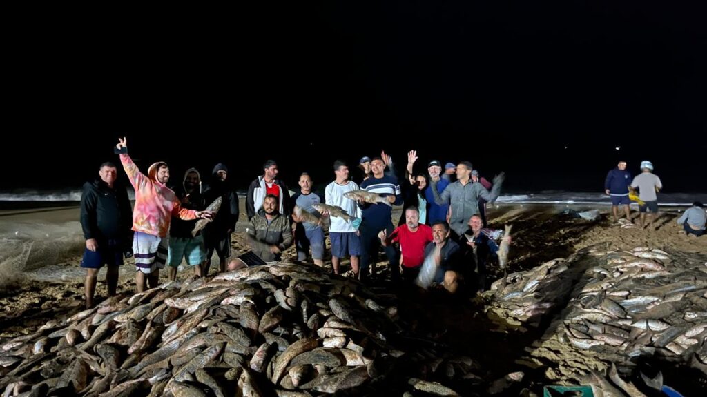 Mais de 11 mil peixes num lanço na praia do Pinho em Balneário Camboriú