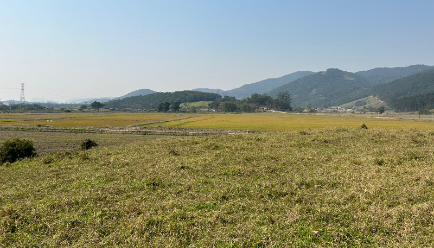 Grupo de trabalho vai fiscalizar uso e manejo de agrotóxicos nas lavouras da bacia do rio Camboriú