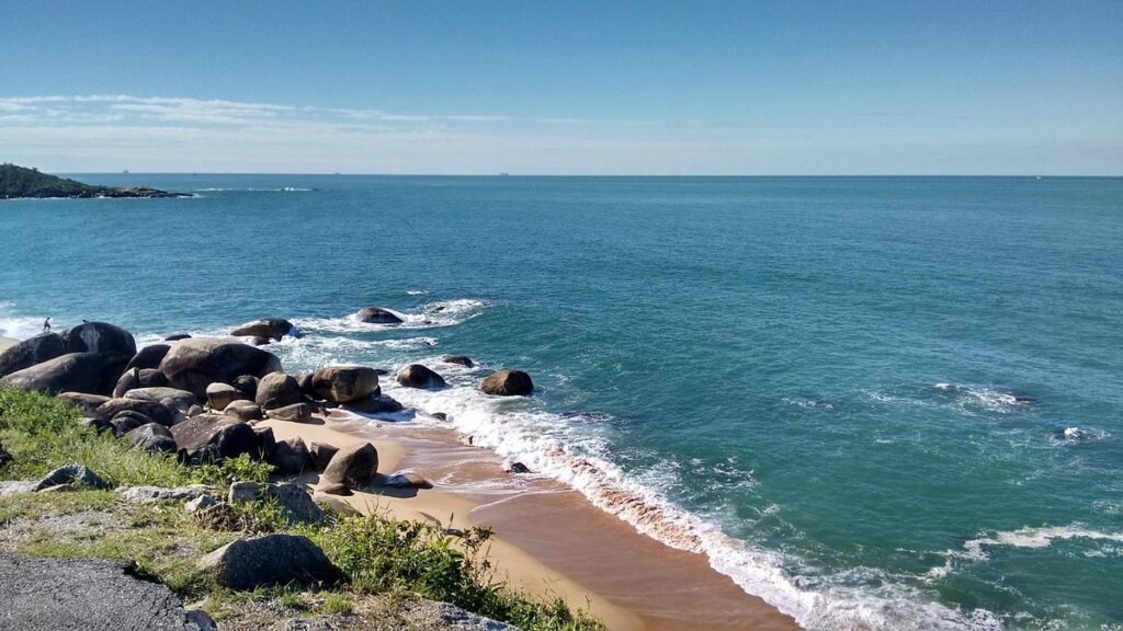 Biopark arremata a Praia de Taquarinhas em leilão e anuncia instalação de parque de preservação